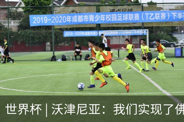 世界杯 | 沃津尼亚：我们实现了佛得角人民的梦想