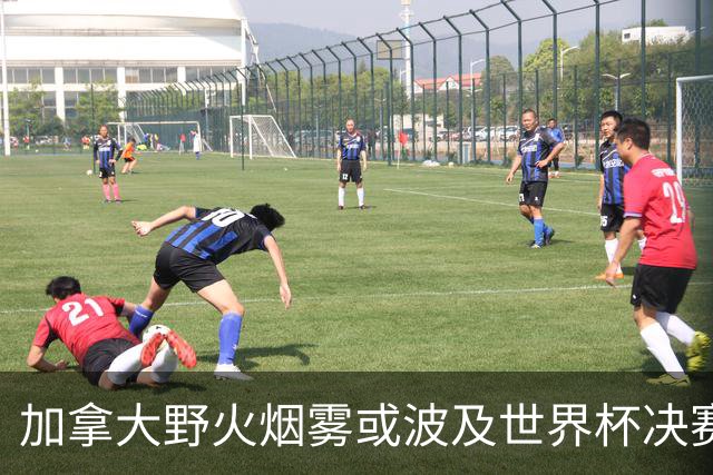 加拿大野火烟雾或波及世界杯决赛 空气污染影响竞技状态